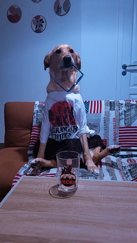 TikTok video thumbnail by evelyne.larose.42600