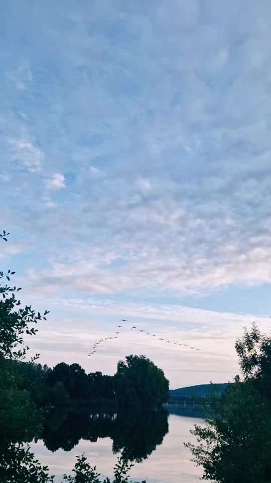 TikTok video thumbnail by laureanneschall