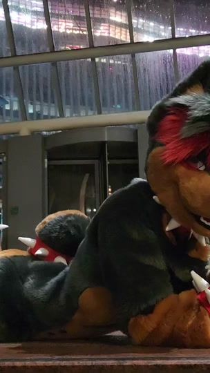 TikTok video thumbnail by guard_mutt