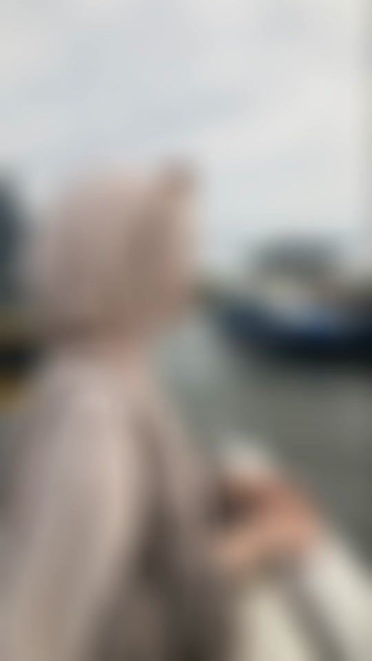 TikTok video thumbnail by user40335655233996