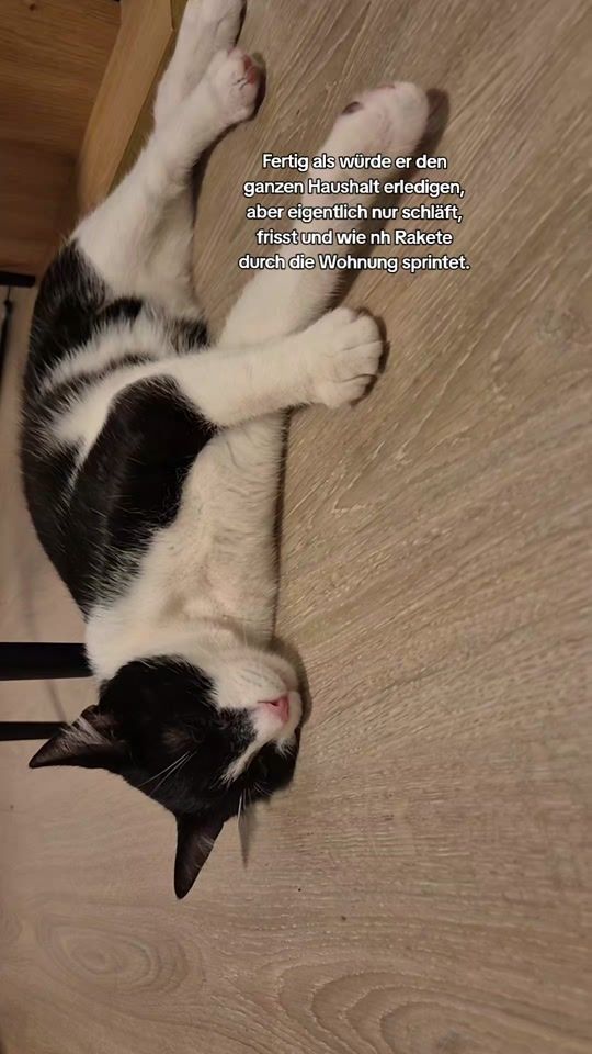 TikTok video thumbnail by massi.x03
