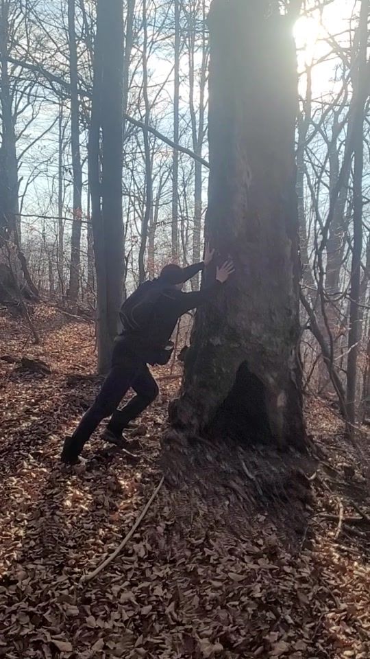 TikTok video thumbnail by mihalidumitrupetru