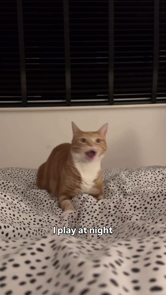 TikTok video thumbnail by lola_and_popps