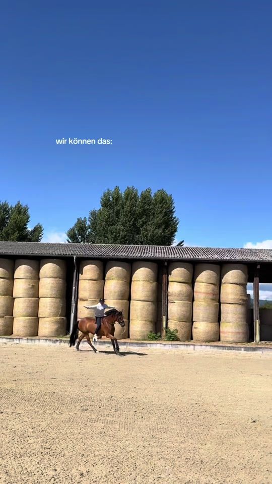 TikTok video thumbnail by summer.radovic