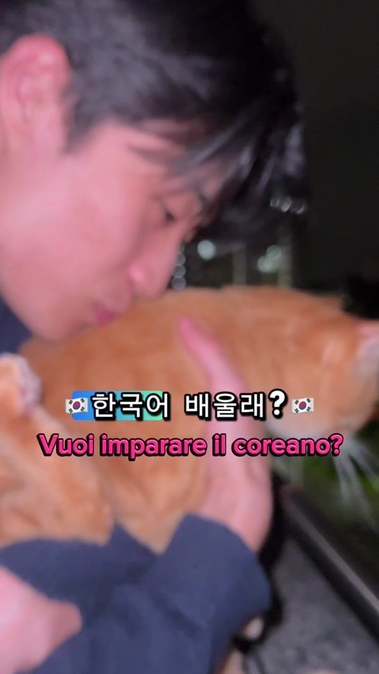 TikTok video thumbnail by bamberelle