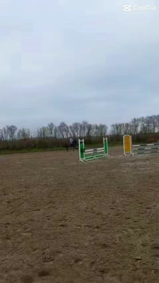 TikTok video thumbnail by lenaxgerhardt