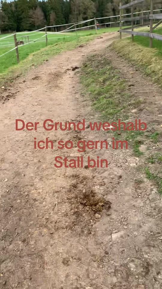 TikTok video thumbnail by jaq_uel