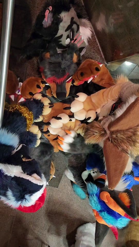TikTok video thumbnail by guard_mutt