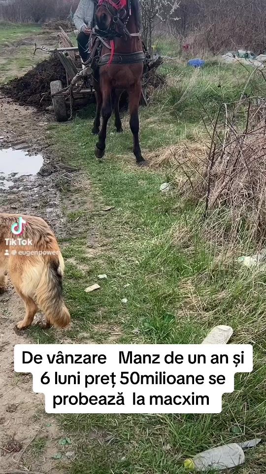 TikTok video thumbnail by eugenpower