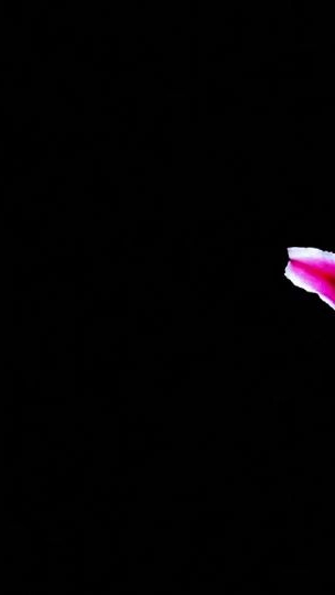 TikTok video thumbnail by randomjokse