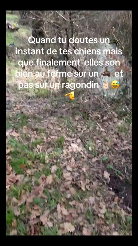 TikTok video thumbnail by anthony.peyronnet