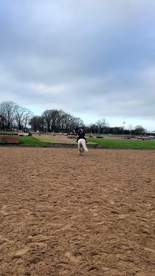 TikTok video thumbnail by oh.equestrian