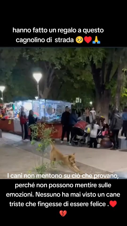 TikTok video thumbnail by cuore.animale