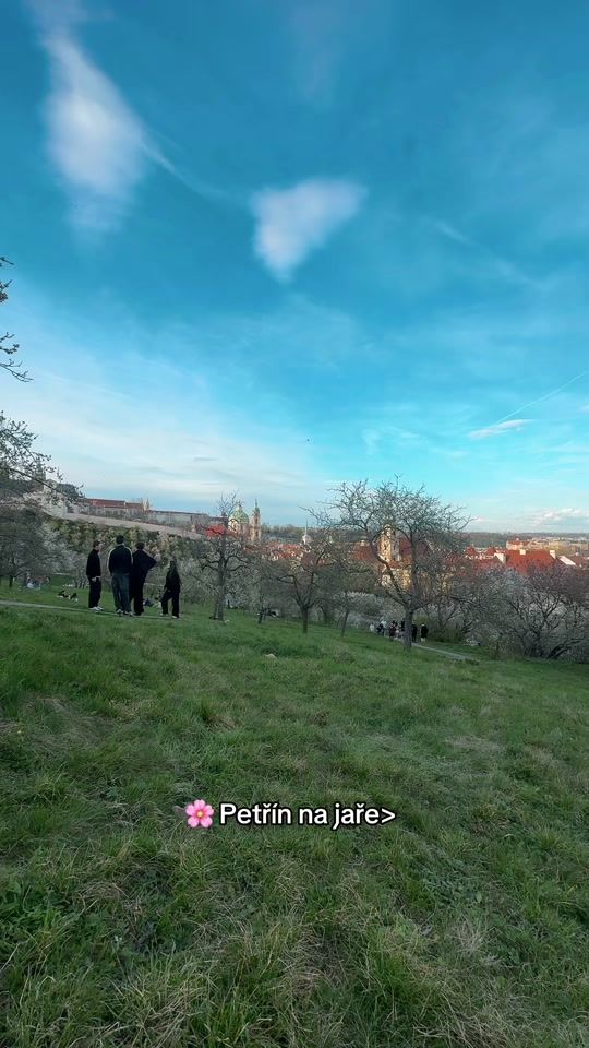 TikTok video thumbnail by petulkaa.h