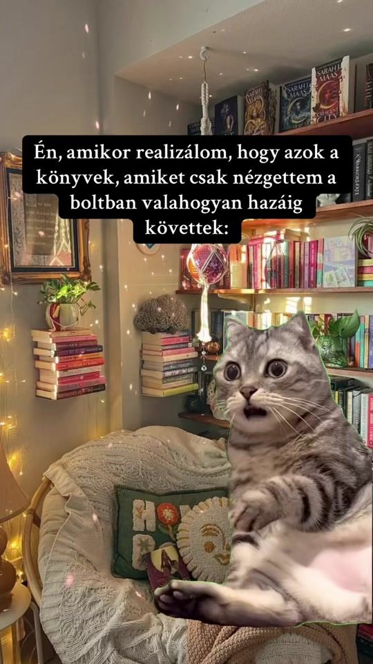 TikTok video thumbnail by welcome_vic_world