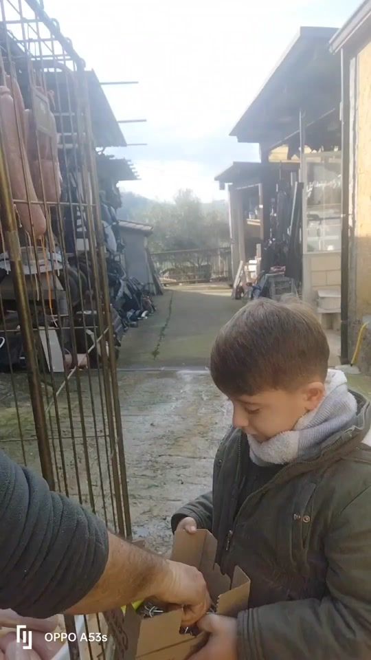 TikTok video thumbnail by domenica_evolo