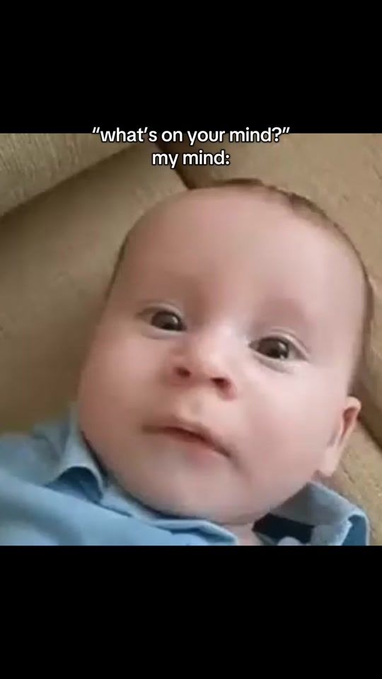 TikTok video thumbnail by ethansintheforest