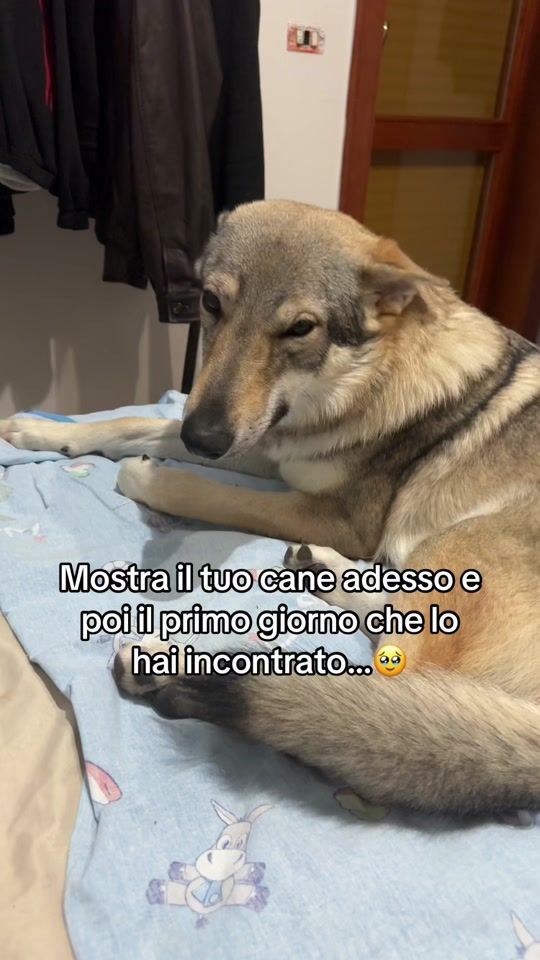 TikTok video thumbnail by chrykk