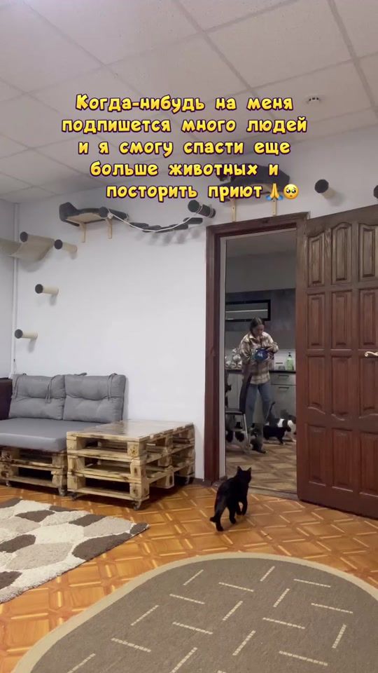 TikTok video thumbnail by naveraskina3