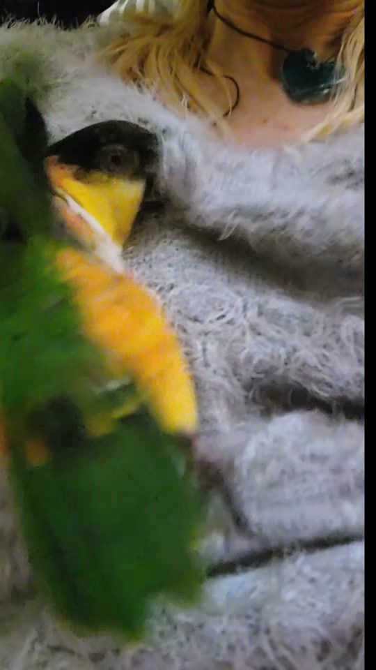 TikTok video thumbnail by captainwizzythunderpants