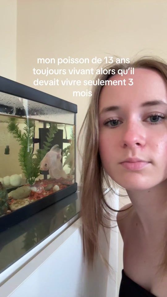 TikTok video thumbnail by alex23_w