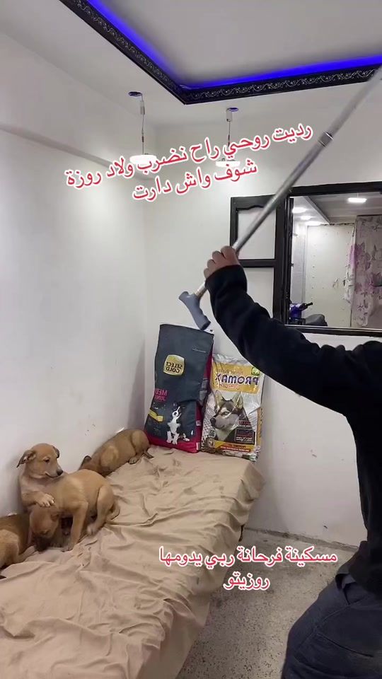 TikTok video thumbnail by roza587
