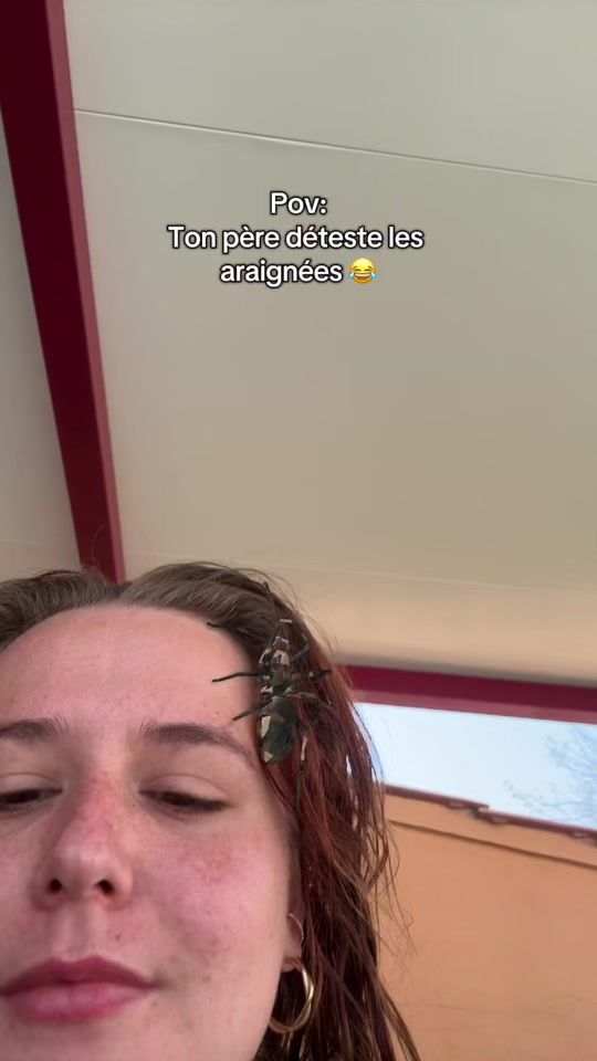 TikTok video thumbnail by nanabeillee