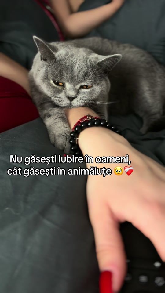 TikTok video thumbnail by michellesis_13