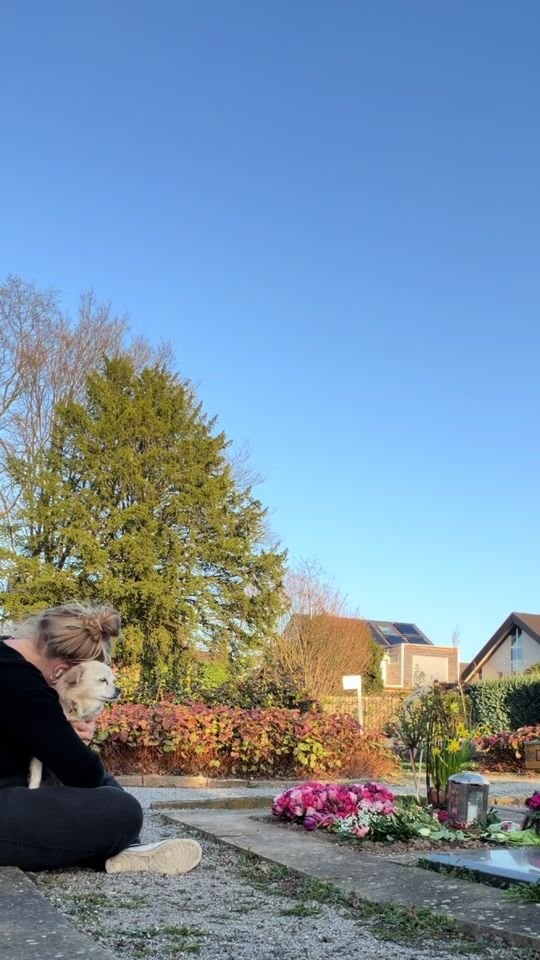 TikTok video thumbnail by amyy_mee