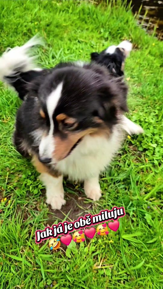 TikTok video thumbnail by monikarezlerov