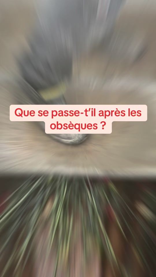TikTok video thumbnail by marbrerie_leblanc