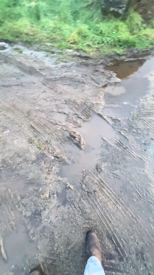 TikTok video thumbnail by jasonculhane