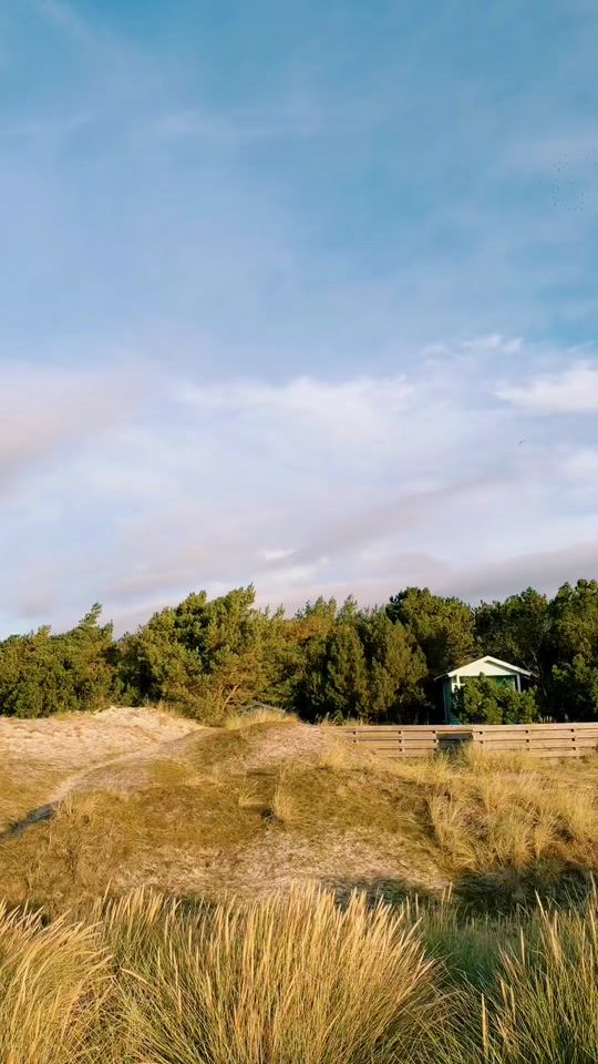 TikTok video thumbnail by dennylang25