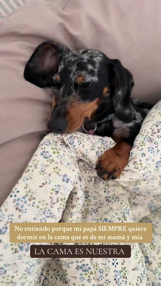 TikTok video thumbnail by brunitalasalchi