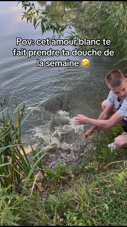 TikTok video thumbnail by turbo_fishing