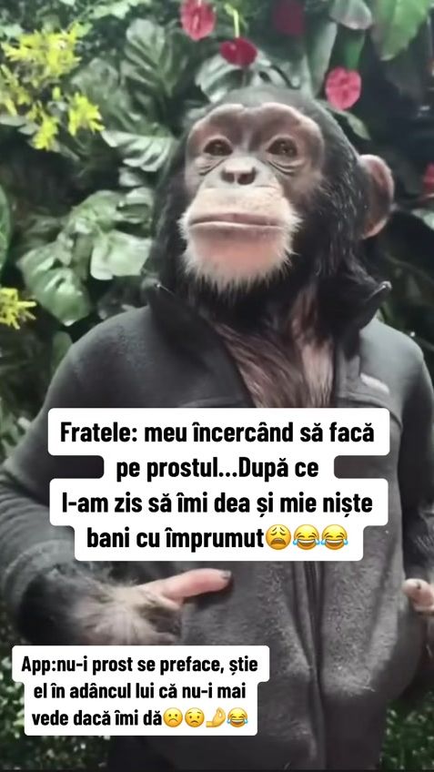 TikTok video thumbnail by pinterestdetoate