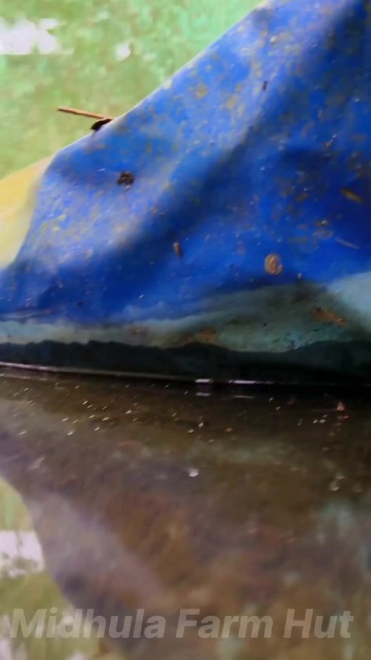 TikTok video thumbnail by fishplanet.2