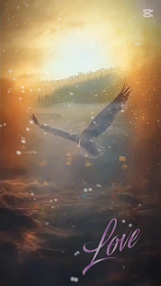 TikTok video thumbnail by _ma.ria_z