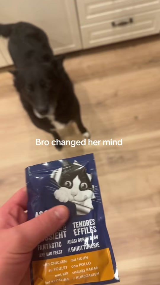 TikTok video thumbnail by lil_vackey