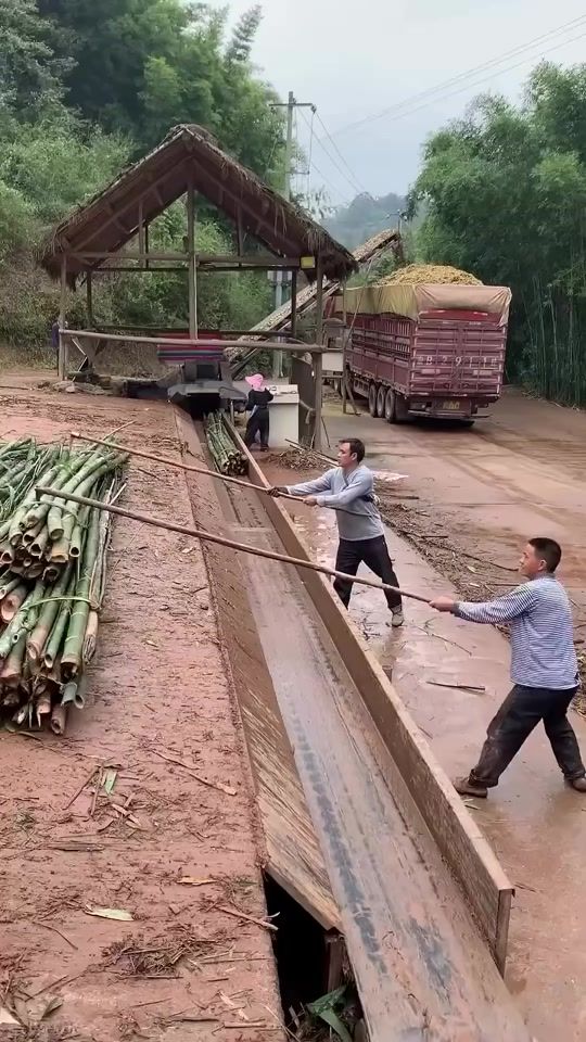 TikTok video thumbnail by doctorsango