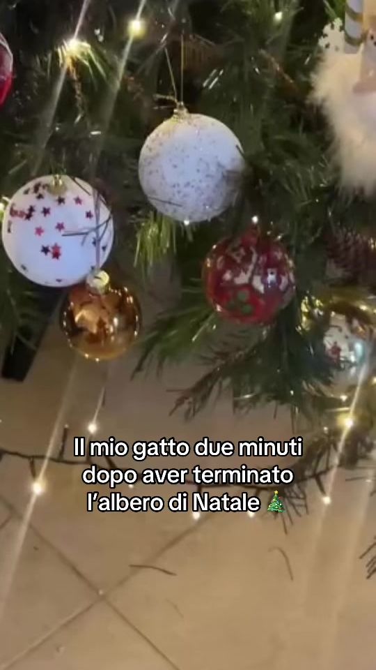 TikTok video thumbnail by isoladeitesori