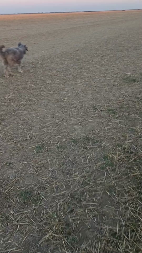 TikTok video thumbnail by marian.vlad523