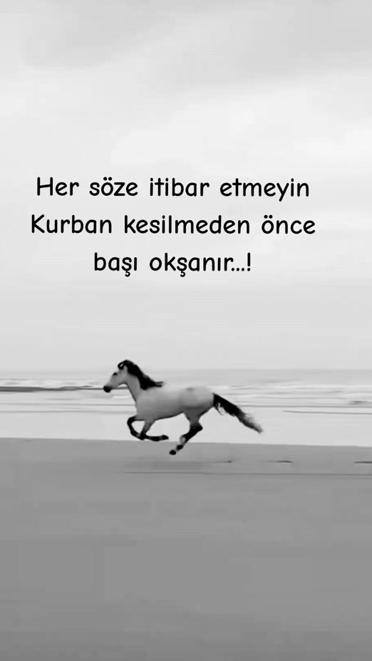 TikTok video thumbnail by kilinc.esmer.02