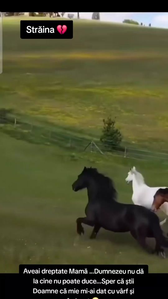 TikTok video thumbnail by straina134