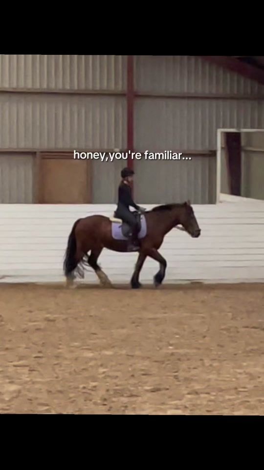 TikTok video thumbnail by e._.equestrian_
