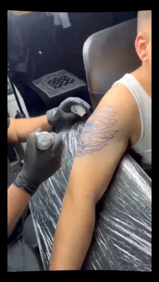 TikTok video thumbnail by scorpion_tattoo83