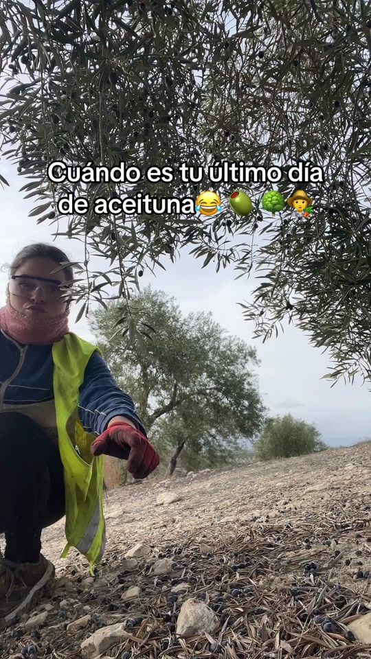 TikTok video thumbnail by marinavico_