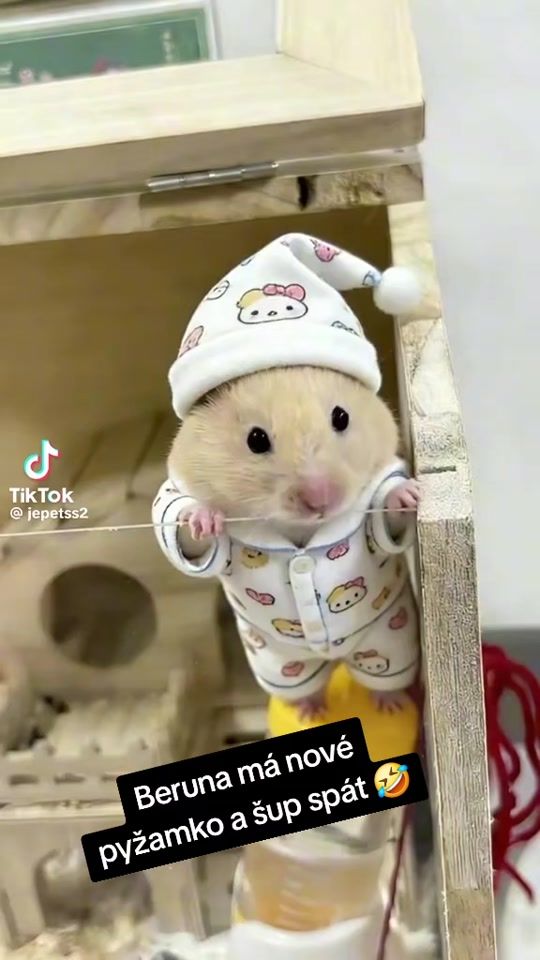 TikTok video thumbnail by majulka.majula