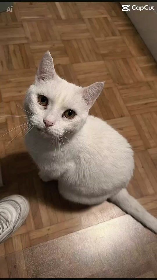 TikTok video thumbnail by kathy230596