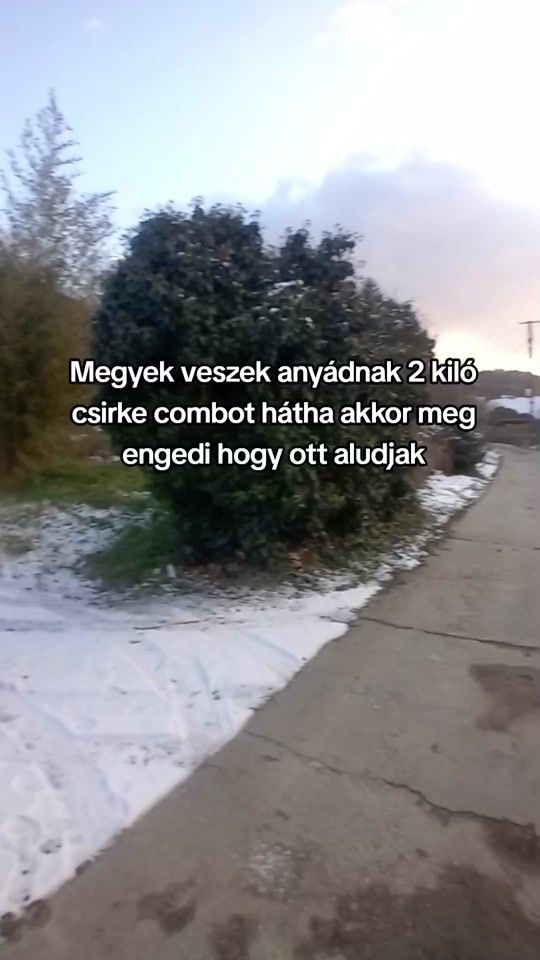 TikTok video thumbnail by _endibaba